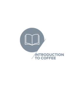 SCA Introduction to Coffee 