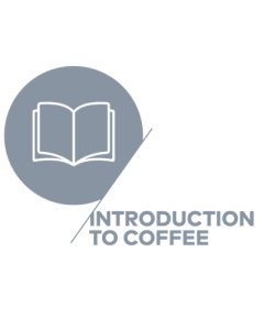 SCA Introduction to Coffee 